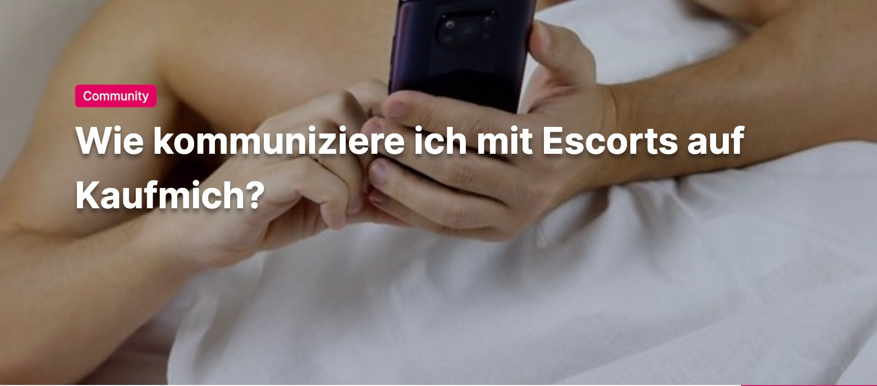 Screenshot eines Gastbeitrags zu Kommunikation mit Escorts