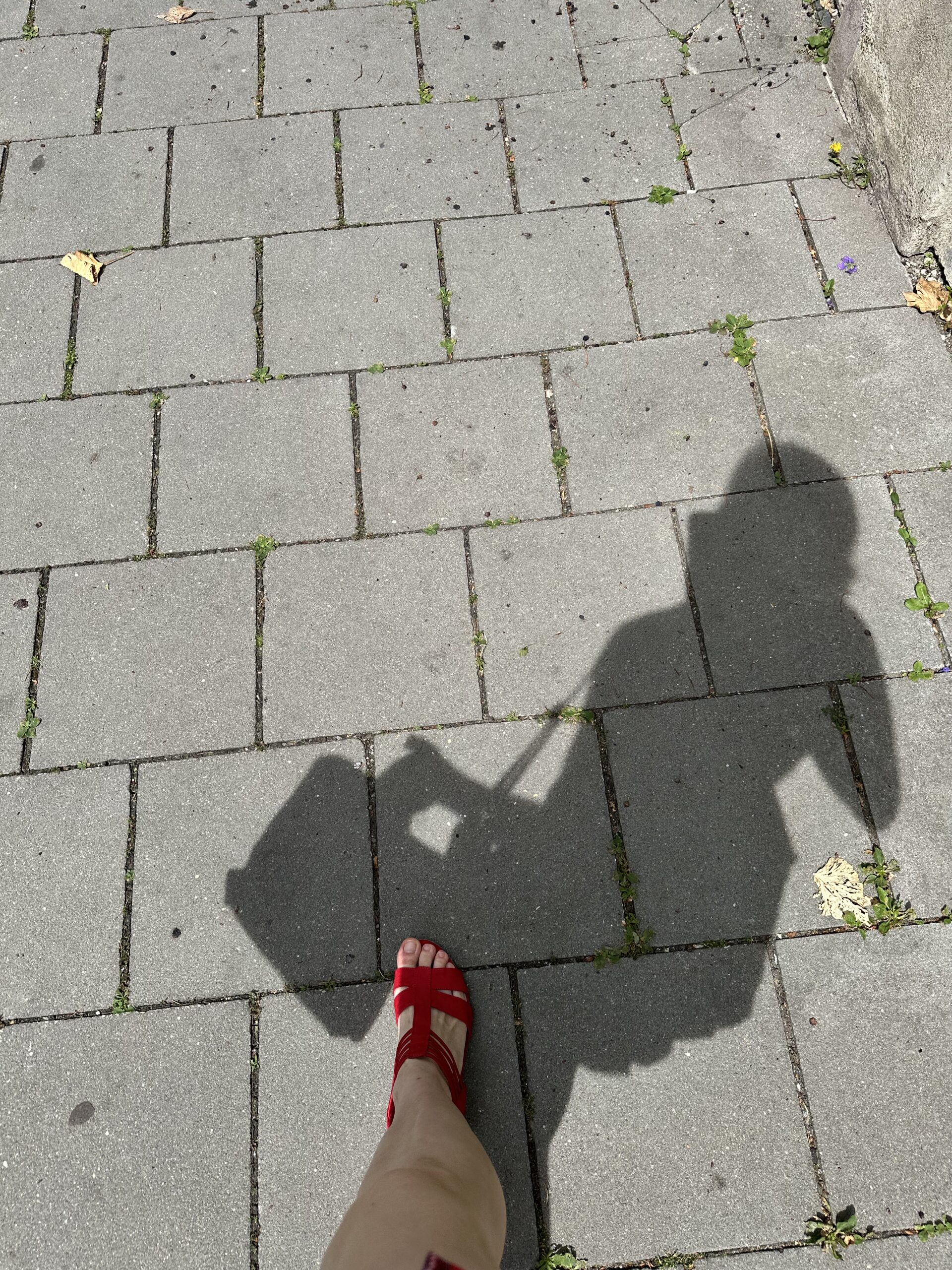 Schatten von Jay auf Asphalt