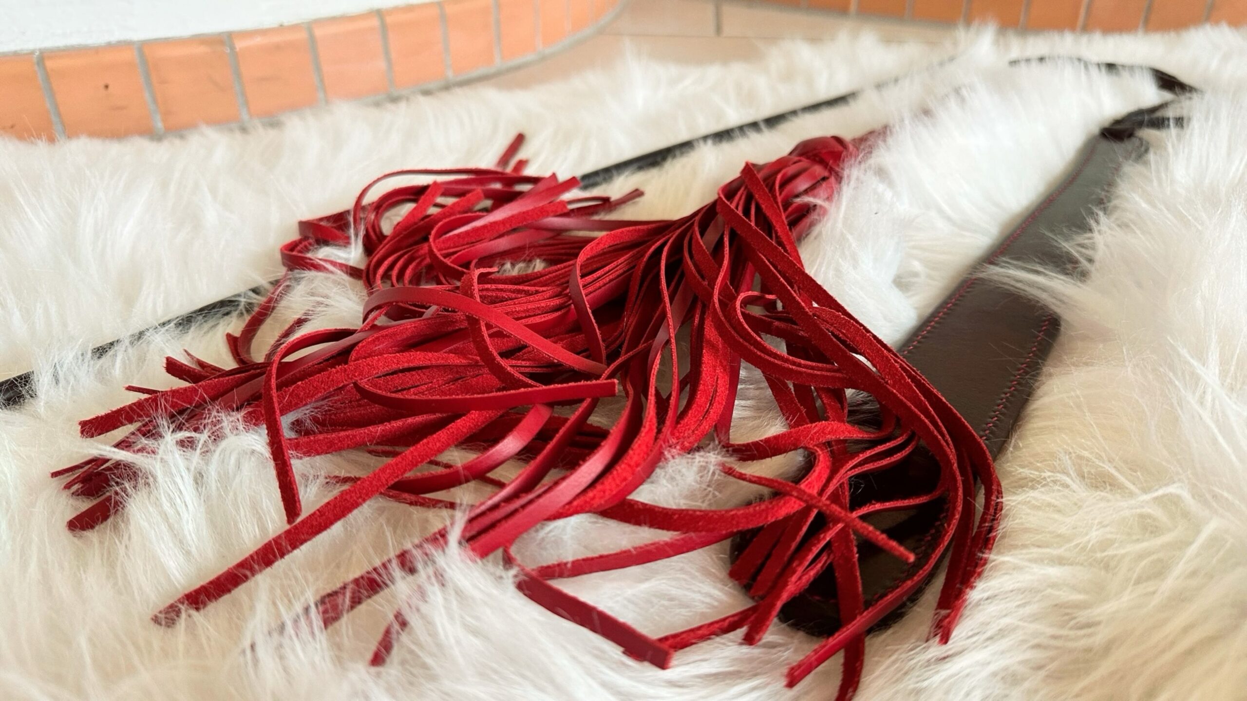 Drei Schlaginstrumente zur Auswahl für die Sklavin: roter Lederflogger, Paddle, Rohrstock.