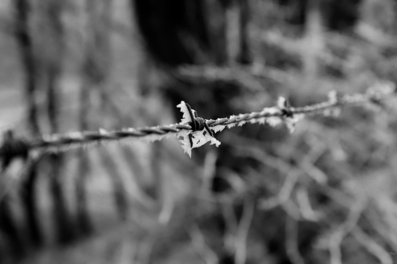 pexels-ingozoell-36546014 Symbolbild für Grenzen in der Sexarbeit: ein Drahtzaun in Nahaufnahme im Winter.